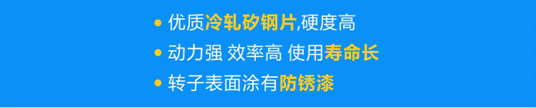 使用優(yōu)質(zhì)冷軋矽鋼片，硬度高；轉(zhuǎn)子經(jīng)高頻淬火，動力強 效率高 壽命長；轉(zhuǎn)子表面涂有防銹漆，更耐用！