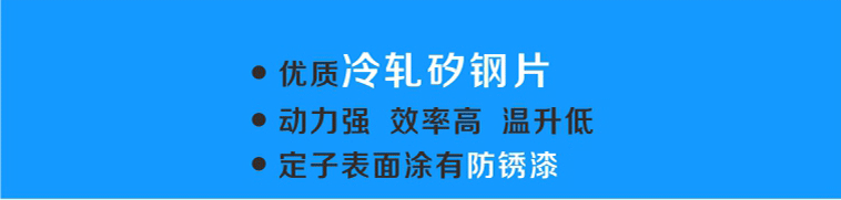 轉(zhuǎn)子選用優(yōu)質(zhì)冷軋硅鋼片，動力強(qiáng)、效率高、溫升低，表面涂有防銹漆更耐用